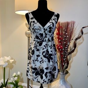 NWT The Limited Above the Knee Cocktail Dress